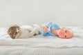 Newborn sleeping close up. Baby sleeps well and the cat and copy space. Infant care, colic, sleep after bath. Royalty Free Stock Photo