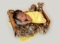 Newborn sleeping in cradle Royalty Free Stock Photo