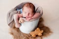 Newborn sleeping in cradle holding toy Royalty Free Stock Photo