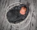 Newborn sleeping in a cradle Royalty Free Stock Photo
