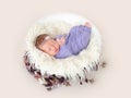 Newborn sleeping in cradle Royalty Free Stock Photo