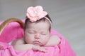 Newborn sleeping. Infant baby girl closeup lying on pink blanket in basket. Cute portrait of new child Royalty Free Stock Photo