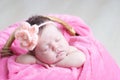 Newborn sleeping with knitted flower on head. Infant baby girl closeup lying on pink blanket in basket. Cute portrait Royalty Free Stock Photo