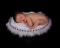 Newborn Sleeping in metal basket with feathers Royalty Free Stock Photo