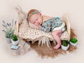 newborn sleeping on tiny bed Royalty Free Stock Photo