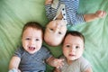 Newborn triplets are lying in the bed Royalty Free Stock Photo