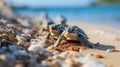 newborn turtles crawl along the sandy beach to the water. Concept: protection of animals and the planet