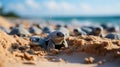 newborn turtles crawl along the sandy beach to the water. Concept: protection of animals and the planet