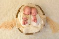 Newborn twin babies Royalty Free Stock Photo
