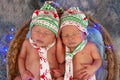 Newborn twin baby boys sleeping in a basket