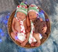 Newborn twin baby boys sleeping in a basket
