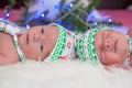 Newborn twin baby boys sleeping