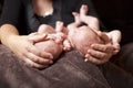 Newborn twins Royalty Free Stock Photo