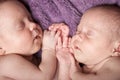 Newborn twins Royalty Free Stock Photo