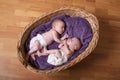 Newborn twins Royalty Free Stock Photo