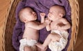 Newborn twins Royalty Free Stock Photo