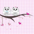 Newborn twins baby with owl baby shower greeting card