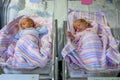 Newborn twins boy and girl in hospital under blankets Royalty Free Stock Photo