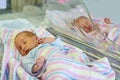 Newborn twins boy and girl in hospital under blankets Royalty Free Stock Photo