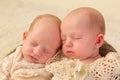 Newborn twins closeup Royalty Free Stock Photo