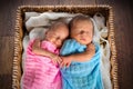 Newborn twins inside the wicker basket Royalty Free Stock Photo