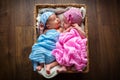 Newborn twins inside the wicker basket Royalty Free Stock Photo