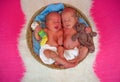 Newborn twins kids sleeps Royalty Free Stock Photo