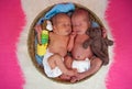 Newborn twins kids sleeps Royalty Free Stock Photo