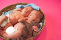 Newborn twins kids sleeps a toy hare Royalty Free Stock Photo