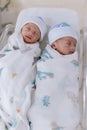 Newborn twins sleeping. Newborn Babies Twins Sleep in Bed. Lovely sleep of the newborns babies on the bed. Royalty Free Stock Photo