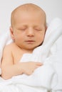 Newborn in white muslin Royalty Free Stock Photo
