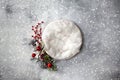 Newborn winter background - round cream bowl with CHristmas red berries and snow covered branches garland on white backdrop