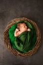 A newborn wrapped in a green cloth in a wicker basket Royalty Free Stock Photo