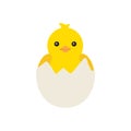 Newborn yellow baby chicken hatched from an egg, for easter design. Little yellow cartoon chick. Vector illustration Royalty Free Stock Photo