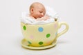 Newborn in Yellow Cup Royalty Free Stock Photo