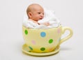 Newborn in a yellow spotted cup Royalty Free Stock Photo