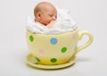 Newborn in a yellow spotted cup Royalty Free Stock Photo