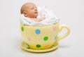 Newborn in a yellow spotted cup Royalty Free Stock Photo