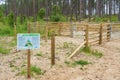 Sands of LIFE project to remove scrub and revitalise NewboroughÃ¢â¬â¢s dune grasslands Royalty Free Stock Photo