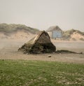 Newburgh beach in the mist with shipwreck, Scotland Royalty Free Stock Photo