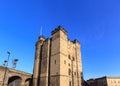 Newcastle Castle Royalty Free Stock Photo