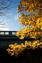 Newcastle Tyne Bridge partial close up in Autumn with yellow leaves Royalty Free Stock Photo