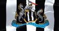 Fabric background with the Newcastle United Flag waving