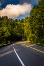 Newfound Gap Road, in Great Smoky Mountains National Park, Tennessee. Royalty Free Stock Photo