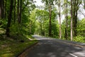 Newfound Gap Road near Carlos Campbell overlook in the Great Smoky Mountains NP Royalty Free Stock Photo