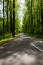 Newfound Gap Road near Carlos Campbell overlook in the Great Smoky Mountains NP Royalty Free Stock Photo