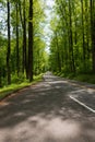 Newfound Gap Road near Carlos Campbell overlook in the Great Smoky Mountains NP Royalty Free Stock Photo