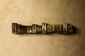 NEWFOUNDLAND - close-up of grungy vintage typeset word on metal backdrop