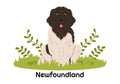 Newfoundland Dog Animals with Black, Brown or Landseer Color in Flat Style Cute Cartoon Template Hand Drawn Illustration