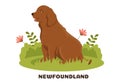 Newfoundland Dog Animals with Black, Brown or Landseer Color in Flat Style Cute Cartoon Template Hand Drawn Illustration